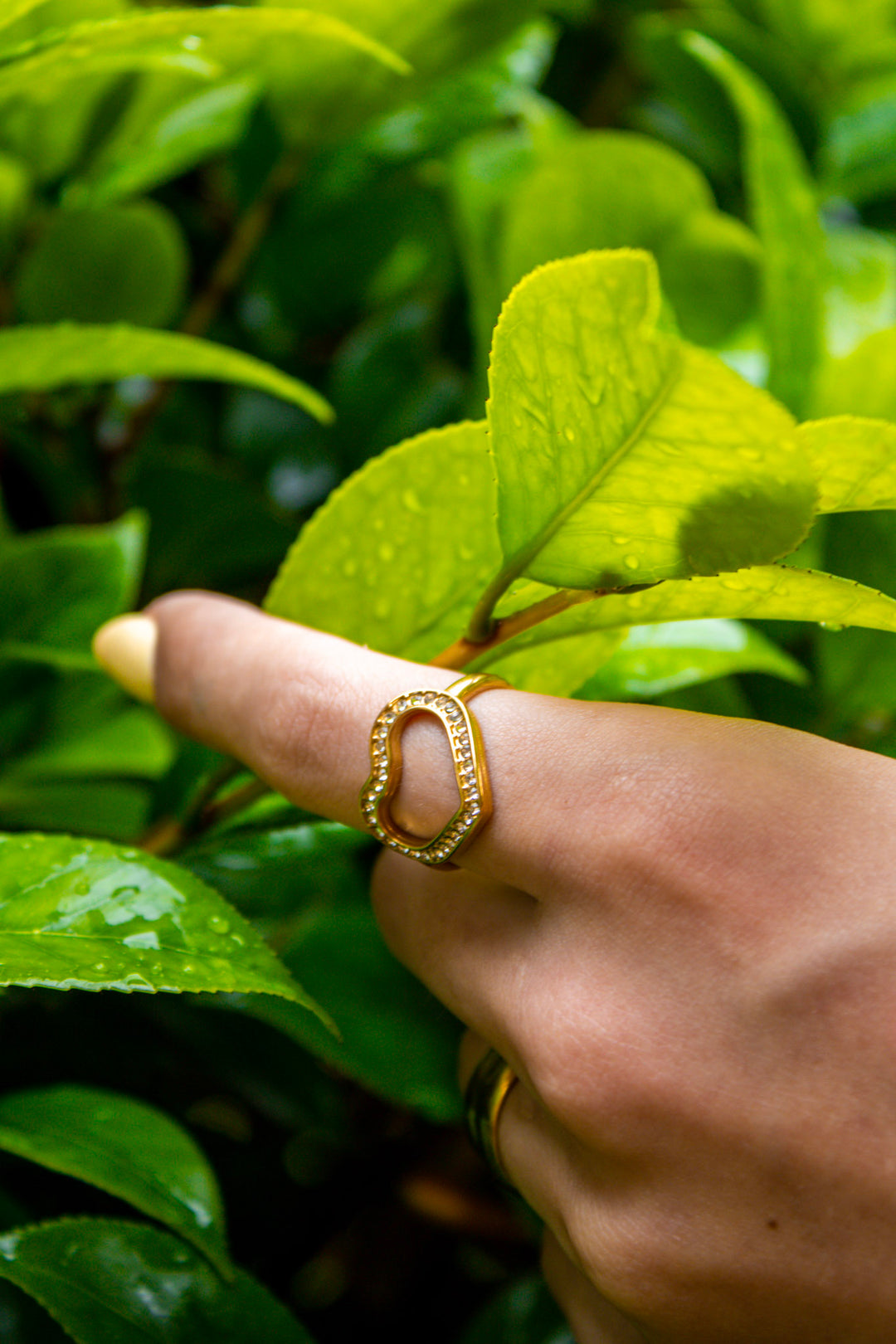 Winslow Ring