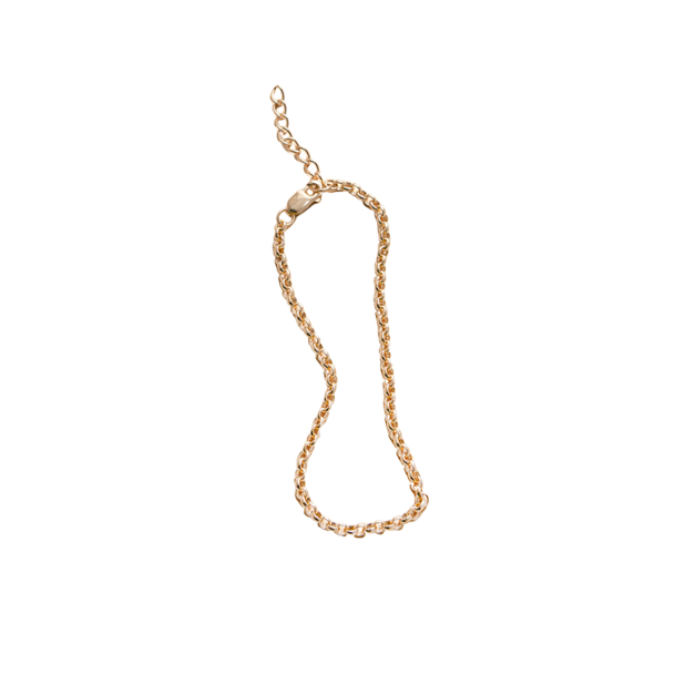 Rolo Chain Bracelet in Gold-Filled